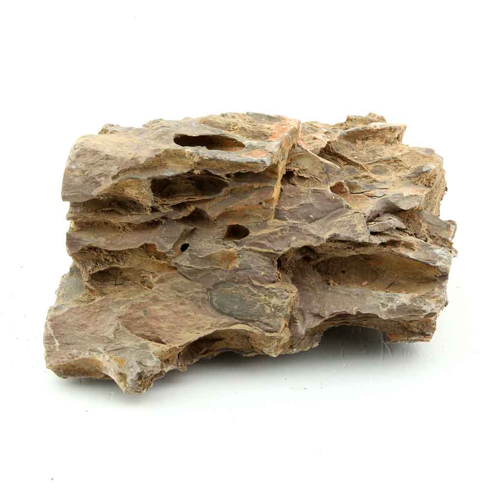 Roccia Dragon Stone 8 Foto Reale 15x16x9h cm