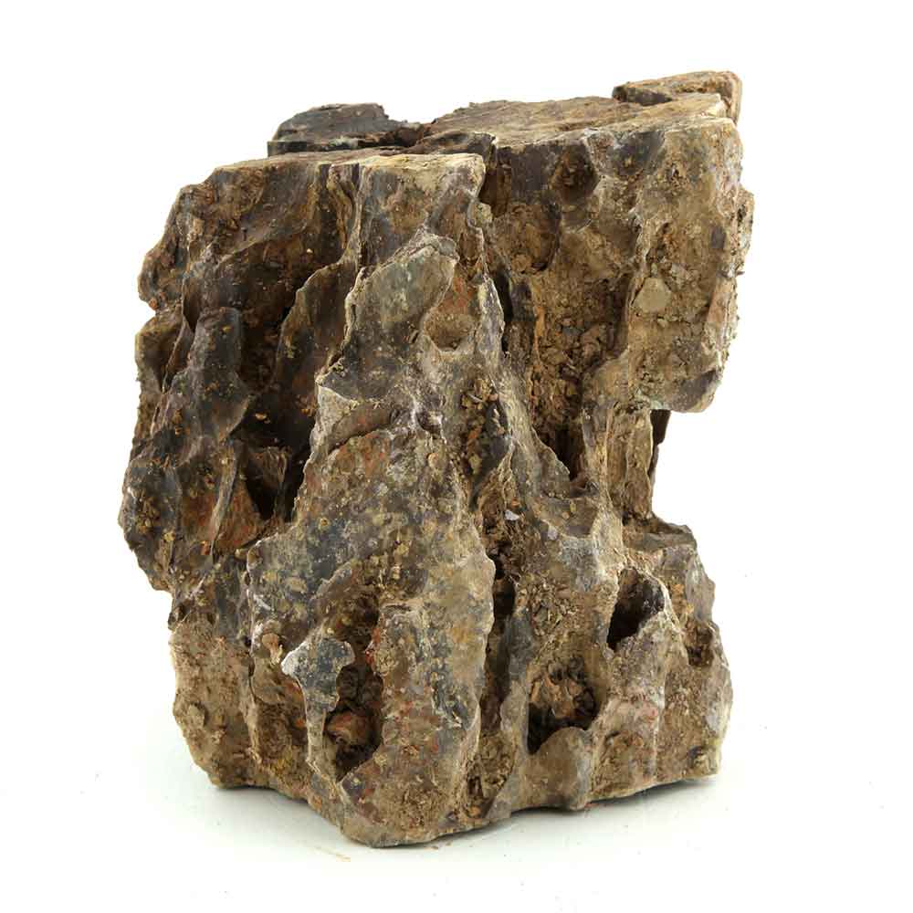 Roccia Dragon Stone 26 Foto Reale 13x11x14h cm