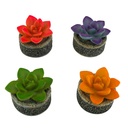 Amtra Decorazione Succulent con fiore colori assortiti 1pz