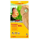 Sera Catappa Leaves Foglie di Catappa XXL 10 pezzi da 30-35cm circa per 1000l