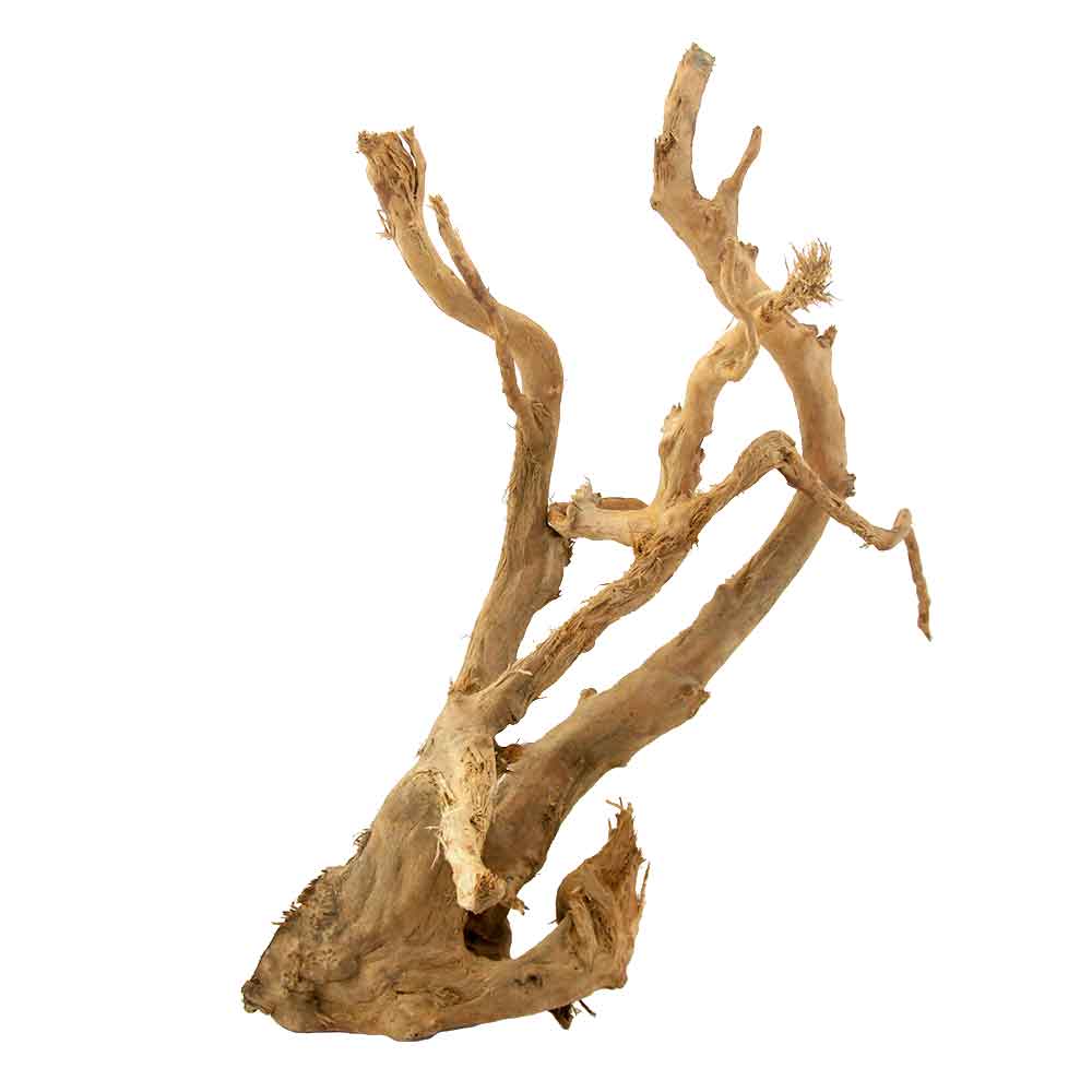 Legno Branch Wood 1876 con foto reale e misure 39x29x52h cm