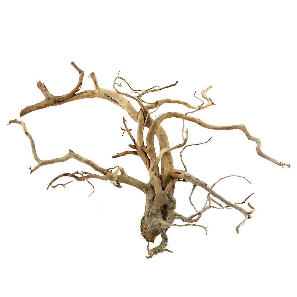 Legno Branch Wood 1878 con foto reale e misure 62x25x43h cm