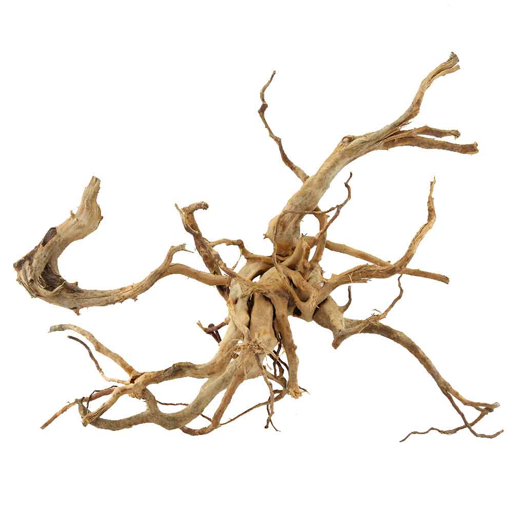 Legno Branch Wood 1891 con foto reale e misure 32x26x46h cm