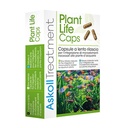 Askoll Plant Life Caps Capsule fertilizzanti substrato a lento rilascio 10pz