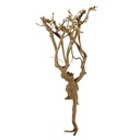 Legno Zen Aaron 7 con foto reale e misure 17x18x34h cm