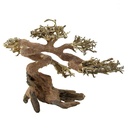 Legno Oriental Wind 7 Medium 1 con foto reale 25x13x21hcm
