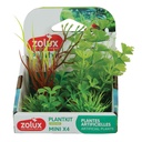 Zolux PlantKit Mini 2 Assortimento 4 piantine in plastica