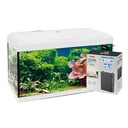 Amtra Basic 60 Acquario Led Bianco con Filtering Box 150 55lt 60x30x42h cm