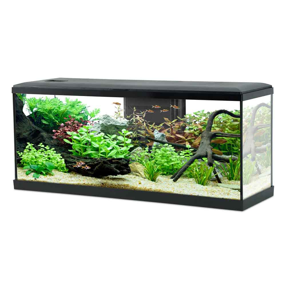 Zolux Acquario Tana 100 Nero Completo 120 Litri 100x30x40h cm