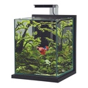 Zolux Jalaya XL Acquario Grigio antracite 18,7 litri