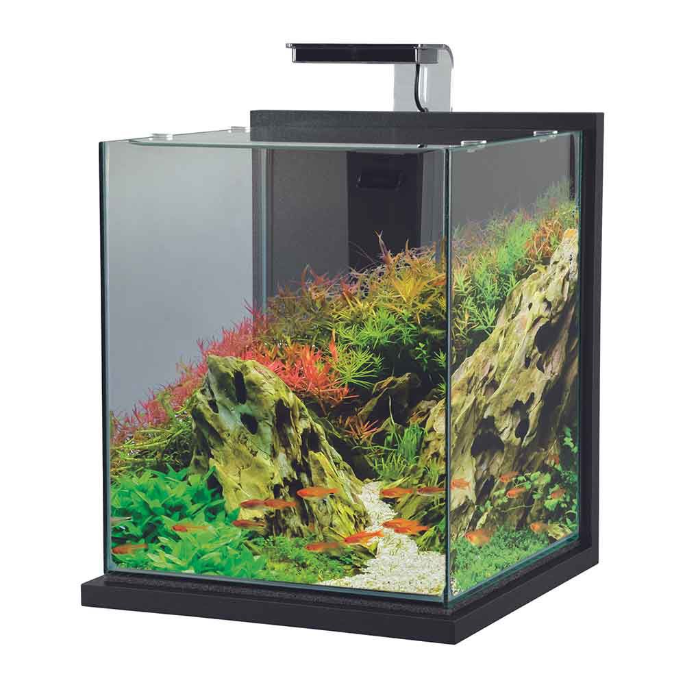 Zolux Jalaya XXL Acquario Grigio antracite 31,5 litri