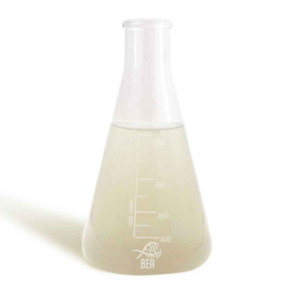Bea BEA Bio Boost Microrganismi Bentonici e Planctonici 1Lt