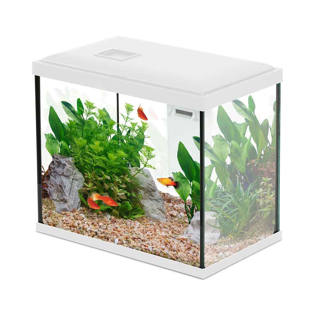 Zolux Acquario Initio 30 Bianco 13 Lt 30,5x18,5x26,8h cm
