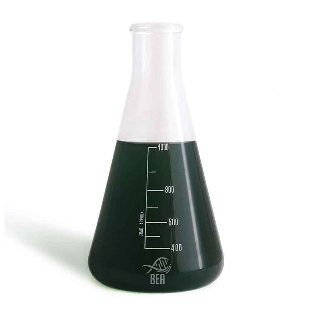 Bea Black Pro Composto di Fitoplancton e Zooplancton per contrastare Cianobatteri Dinoflagellati e Patine 1 Lt