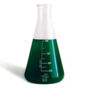 Bea Synecho Mix Fitoplancton contro Cianobatteri 1Lt