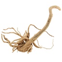 Legno Branch Wood 2178 con foto reale e misure 39x18x31h