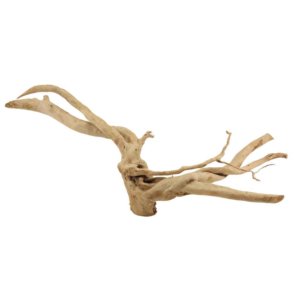 Legno Branch Wood 2190 con foto reale e misure 54x26x21h cm