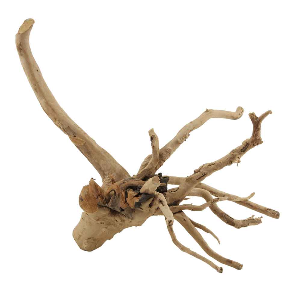 Legno Branch Wood 2191 con foto reale e misure 33x26x30h cm