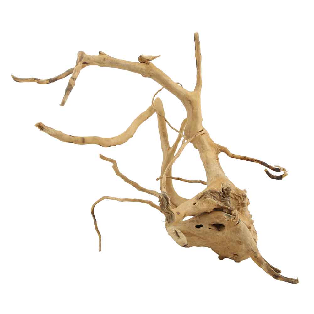 Legno Branch Wood 2195 con foto reale e misure 33x20x27h cm