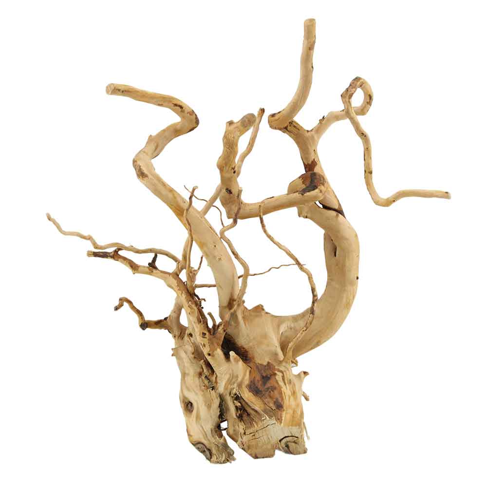 Legno Branch Wood 2198 con foto reale e misure 30x11x35h cm
