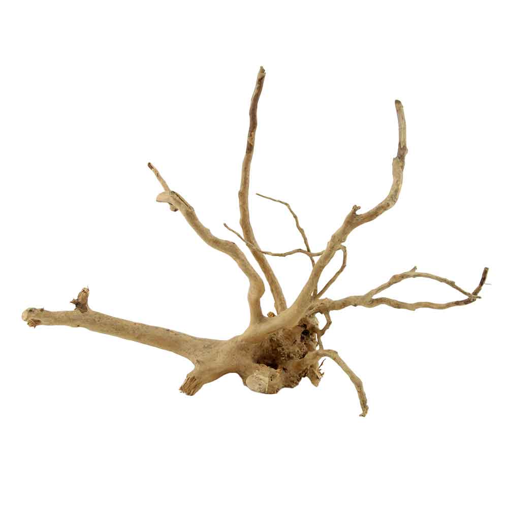 Legno Branch Wood 2210 con foto reale e misure 39x23x28h cm
