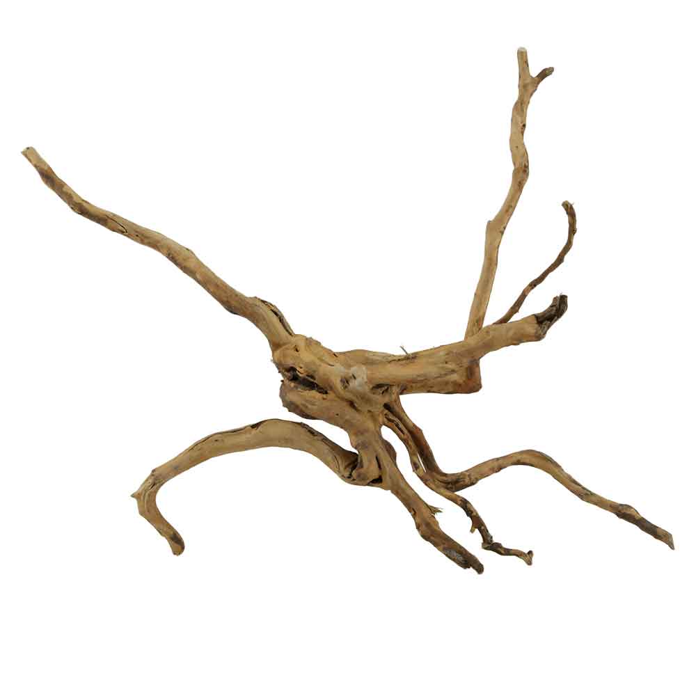 Legno Branch Wood 2215 con foto reale e misure 47x13x34h cm