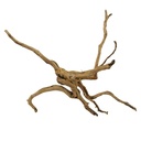 Legno Branch Wood 2215 con foto reale e misure 47x13x34h cm