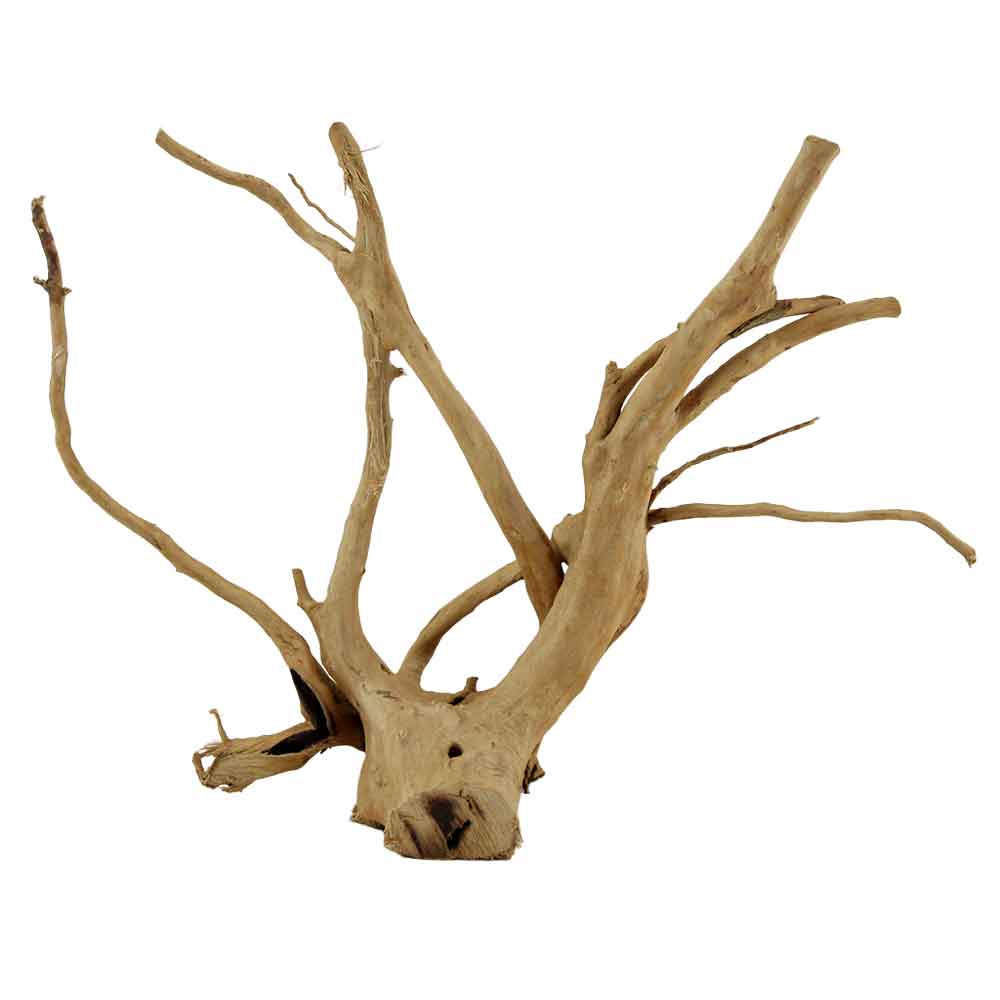 Legno Branch Wood 2224 con foto reale e misure 36x12x21h cm