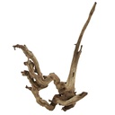 Legno Amazzonia  13 con foto reale e misure 45x17x58h cm