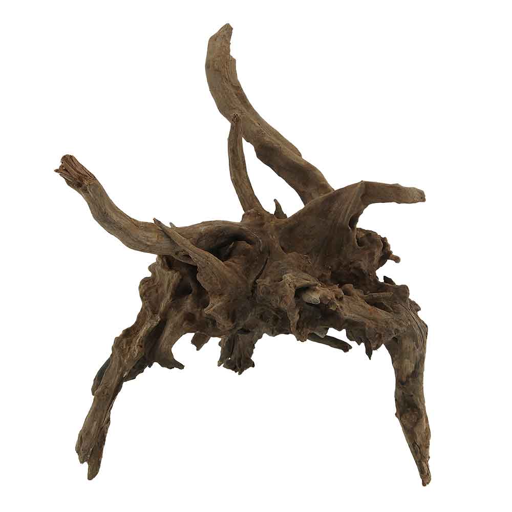 Legno Drift Wood 107 con foto reale e misure 23x16x29h cm