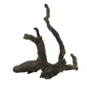 Legno Black Root 1 con foto reale e misure 26x16x30h cm