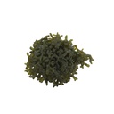 Alga Codium per Refugium porzione start circa 5cm
