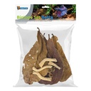 Superfish Biotope Set Betta per ottimizzare le condizioni dell’acqua