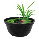 Superfish Medaka Bowl 420 Ciotola Giapponese 16 litri 42x20h cm
