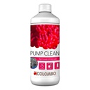 Colombo Pump Clean Disincrostante per la pulizia delle attrezzature 1000ml
