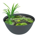 Superfish Medaka Bowl 600 Mini Pond