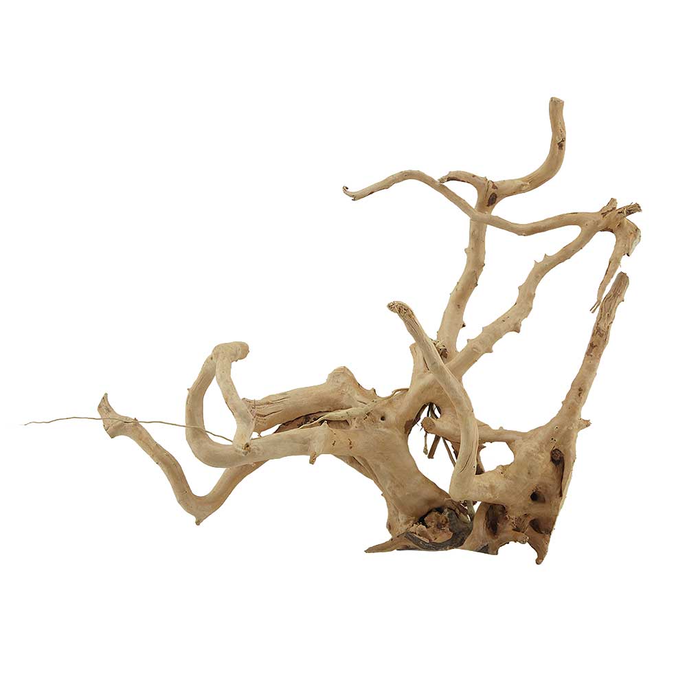 Legno Branch Wood 2245 con foto reale e misure 33x25x30h cm