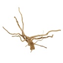 Legno Branch Wood 2246 con foto reale e misure 44x22x34h cm