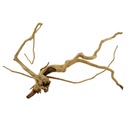Legno Branch Wood 2247 con foto reale e misure 43x13x24h cm