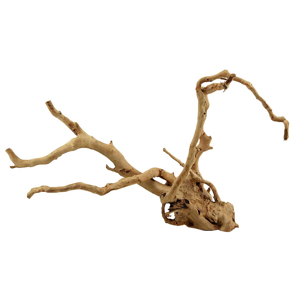 Legno Branch Wood 2248 con foto reale e misure 42x23x25h cm