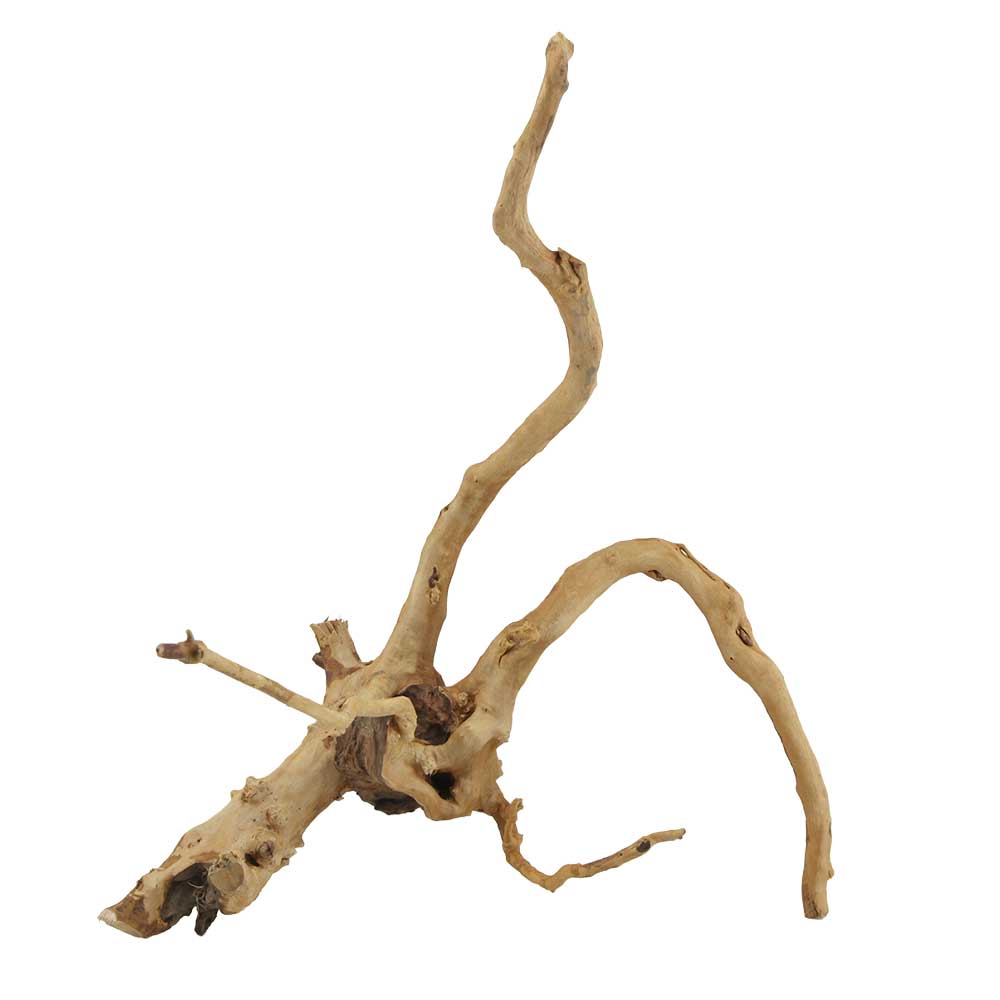 Legno Branch Wood 2251 con foto reale e misure 32x30x40h cm
