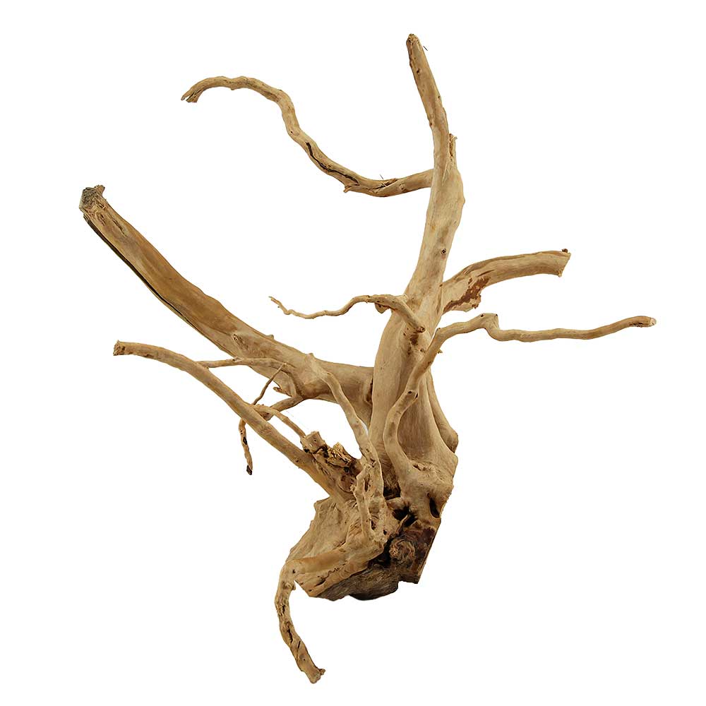 Legno Branch Wood 2252 con foto reale e misure 37x25x38h cm