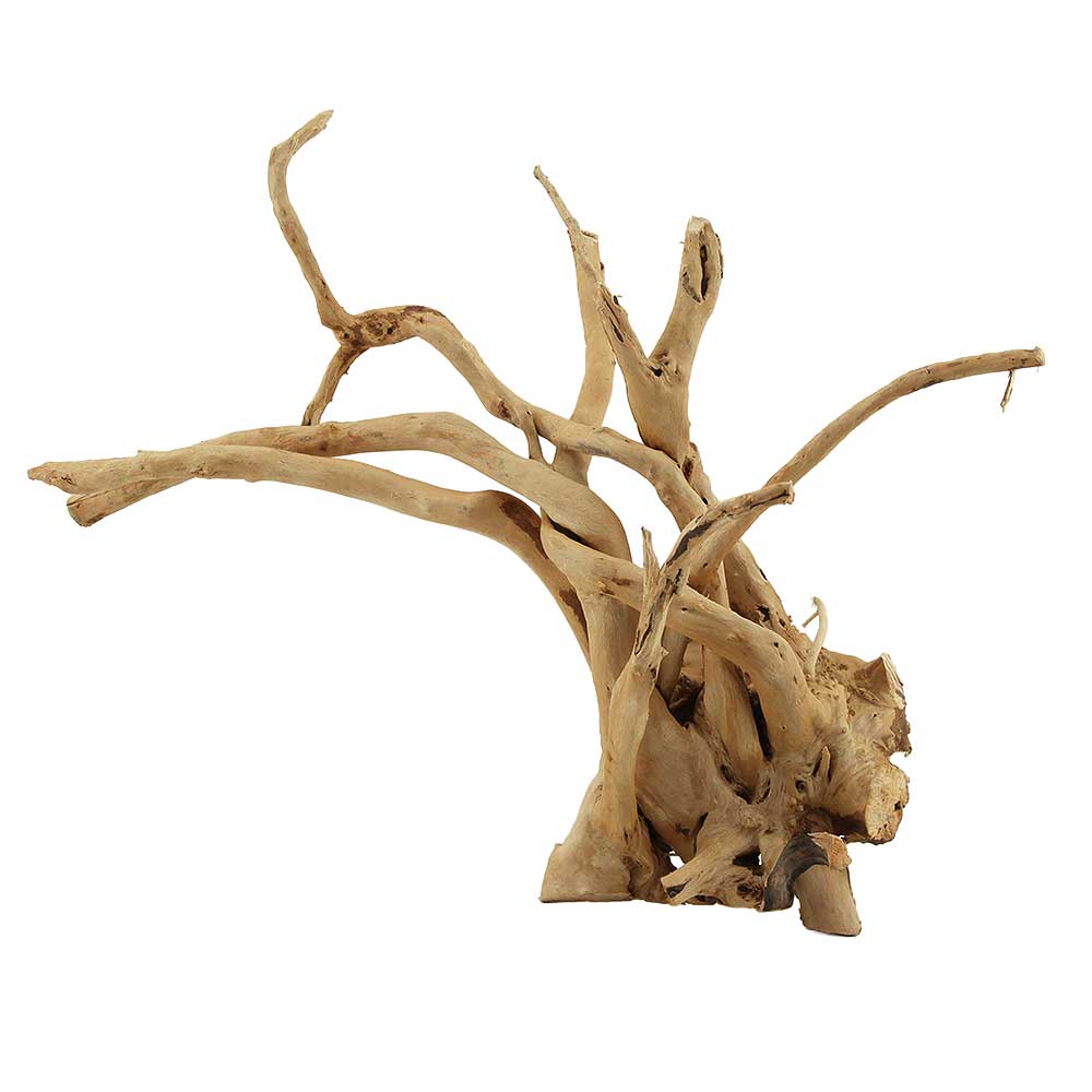 Legno Branch Wood 2255 con foto reale e misure 40x22x32h