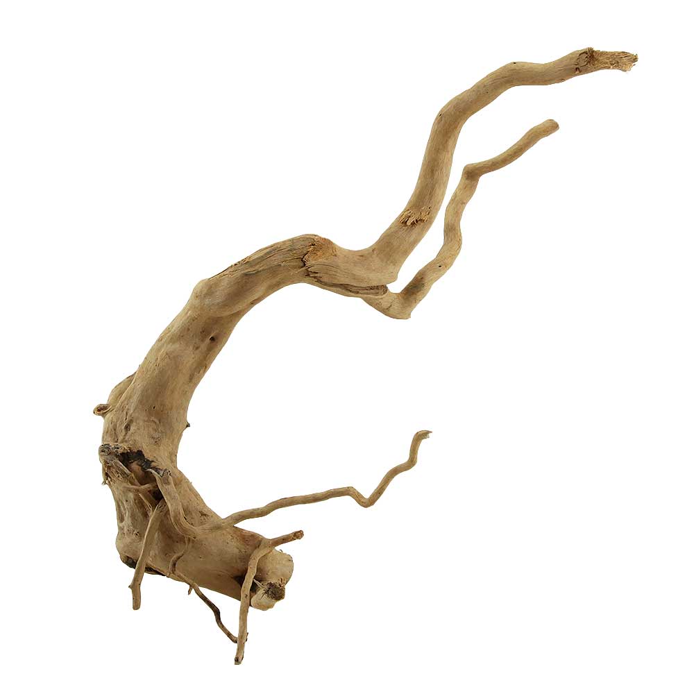 Legno Branch Wood 2257 con foto reale e misure 32x22x30h