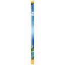 Sera LED X-Change Tube Neutral Brilliant White 1420 (sostituisce il 58W T8 e 80W T5) 20W 1420mm