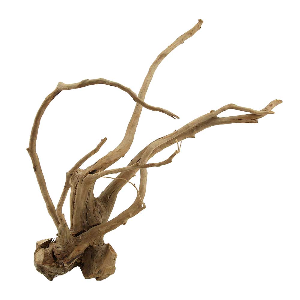 Legno Branch Wood 2260 con foto reale e misure 35x26x38h
