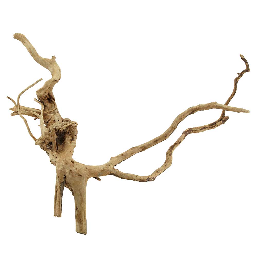 Legno Branch Wood 2261 con foto reale e misure 35x12x27h