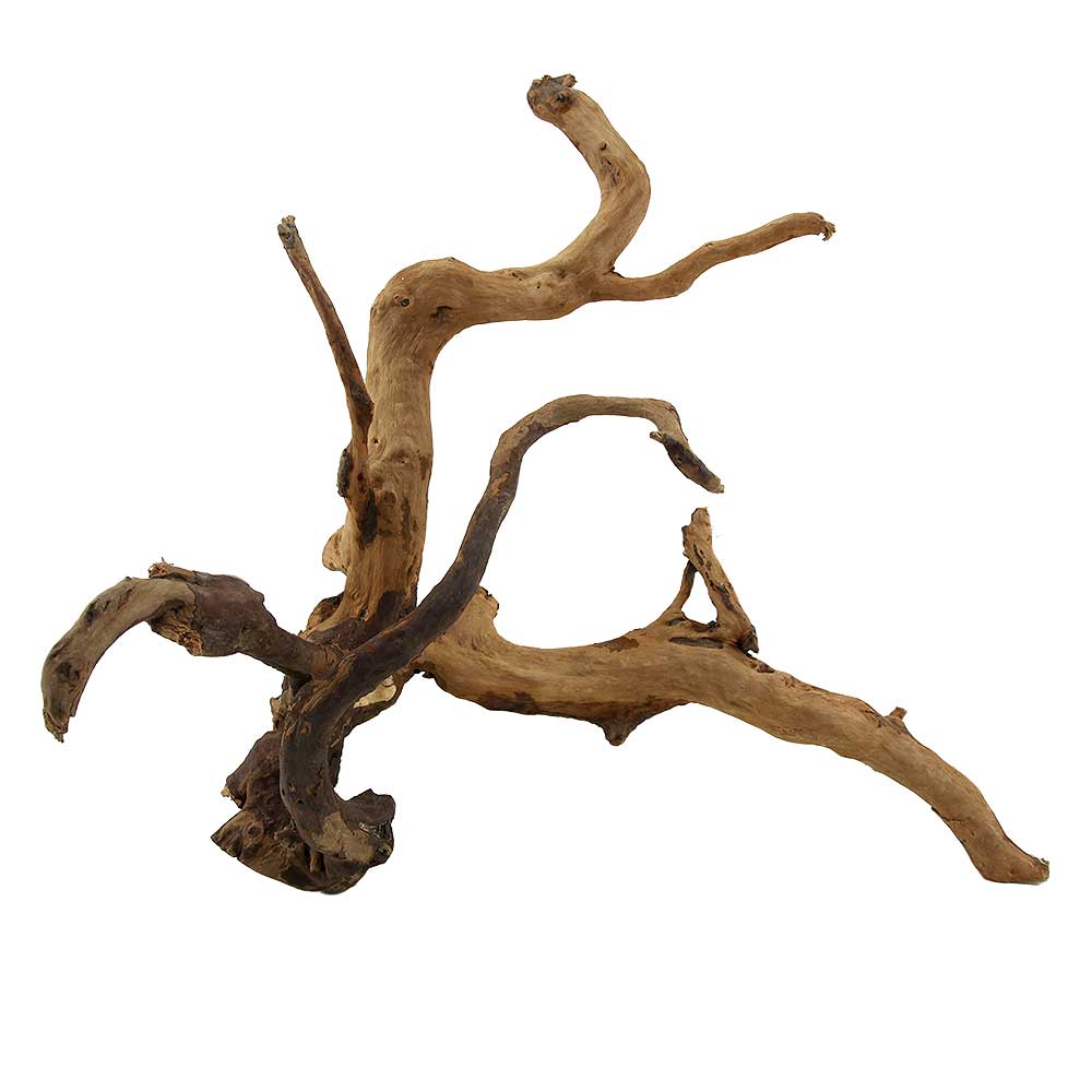 Legno Branch Wood 2262 con foto reale e misure 42x28x40h