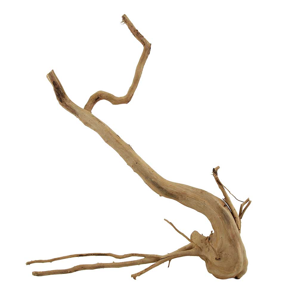 Legno Branch Wood 2263 con foto reale e misure 30x11x38h