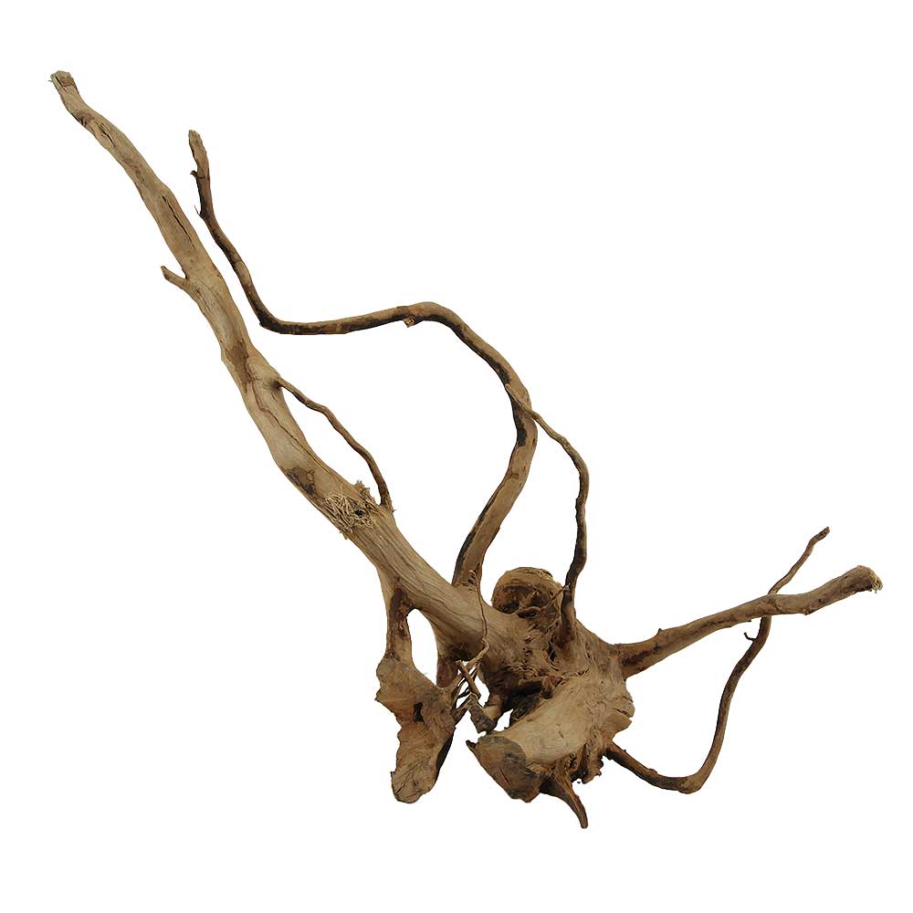 Legno Branch Wood 2266 con foto reale e misure 46x19x40h